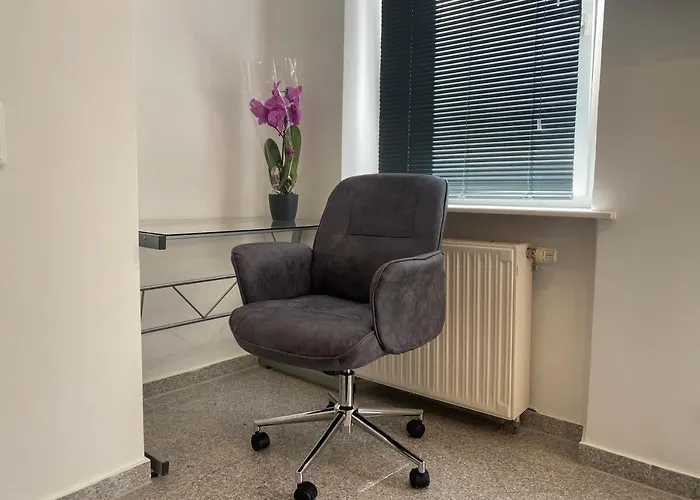Apartment Stilvolles, Neues Mit Balkon In Im 1ten Obergeschoss